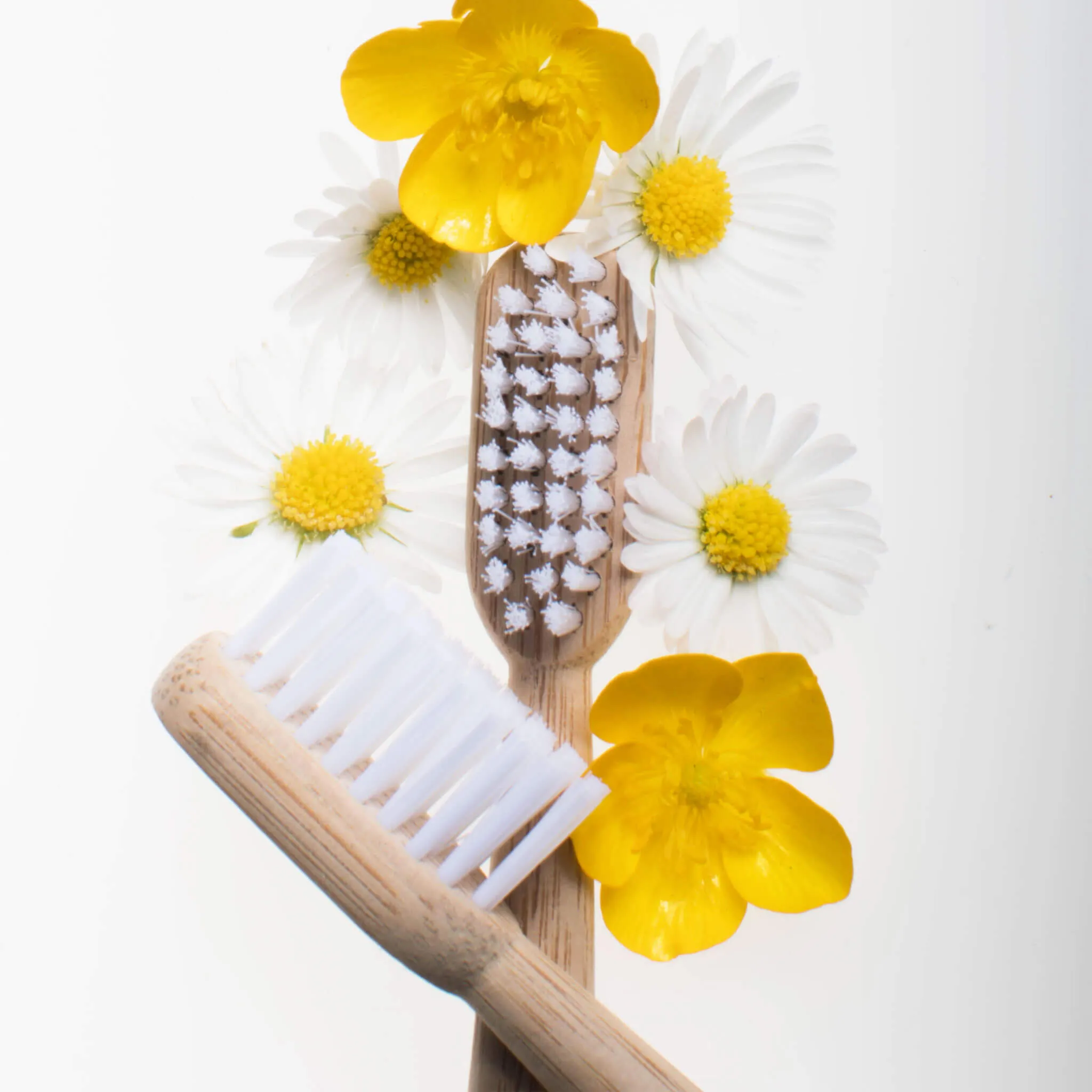 Bamboo Toothbrush - 2 Pack