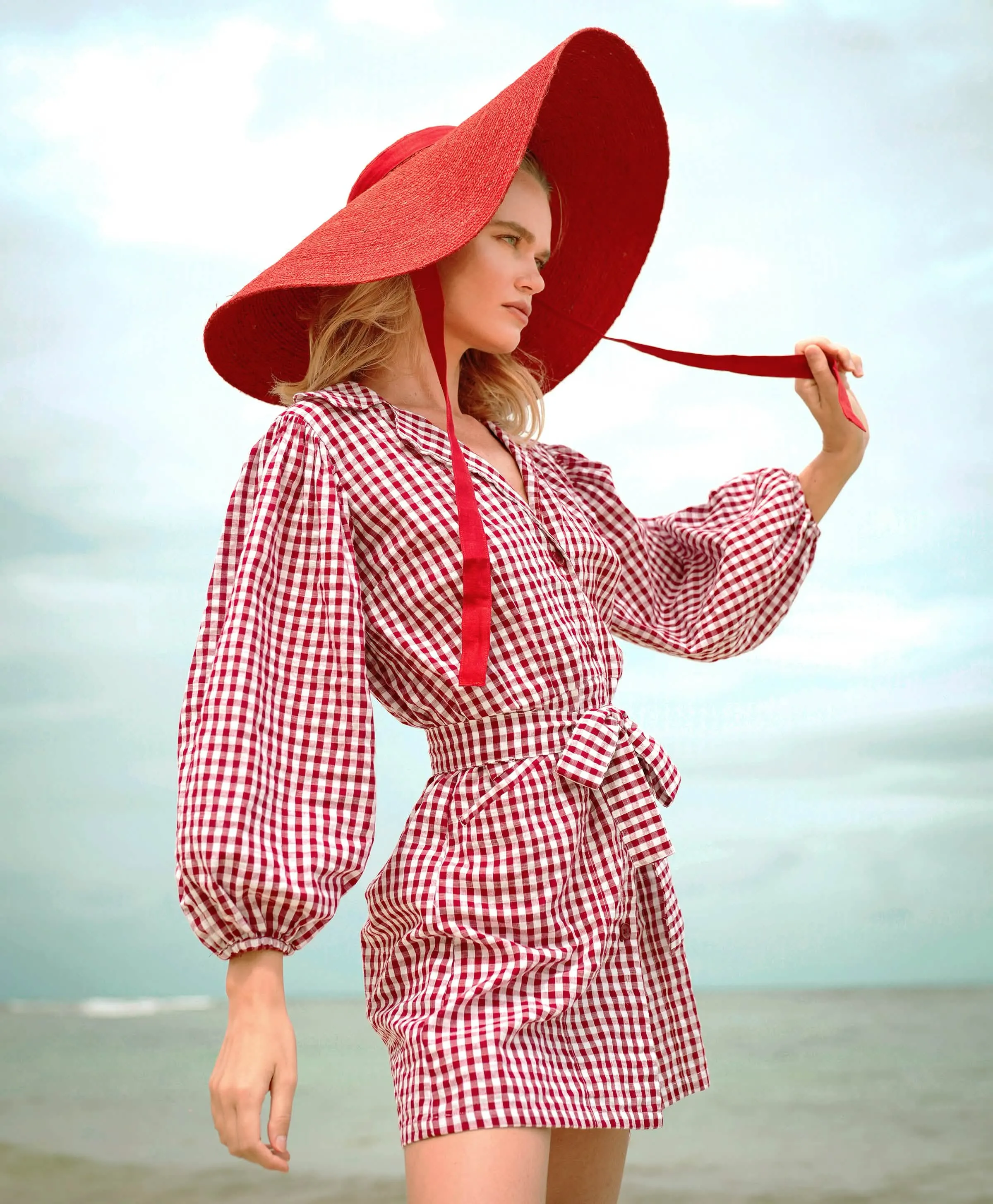 Gingham Red Summer Charm Mini Dress