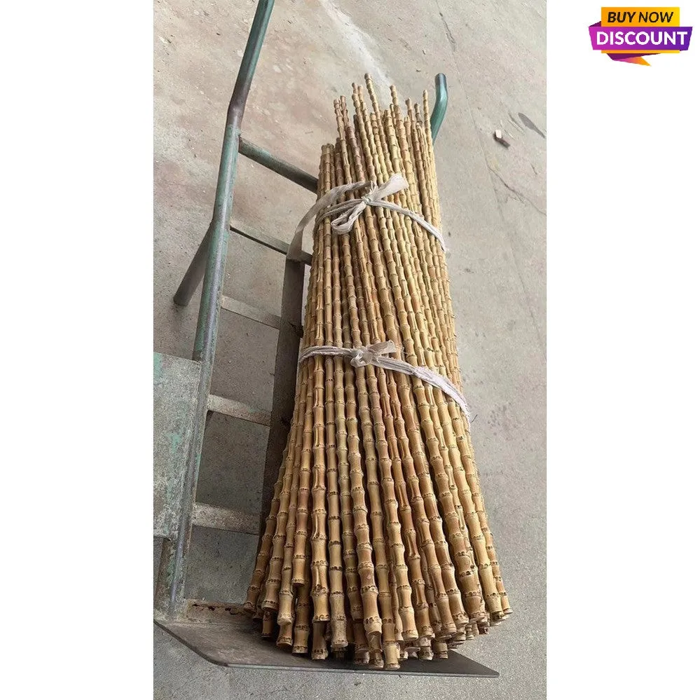 New & Rare Length Bamboo Root Sticks (95-110cm / 37.4"-43.3") - Unique Supply